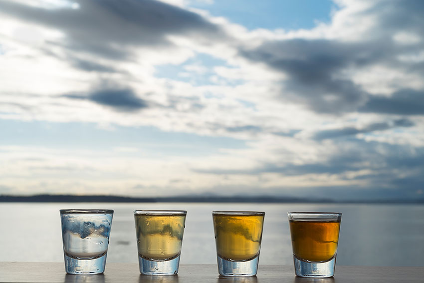 A Beginners' Guide To 2 Different Types Of Tequila